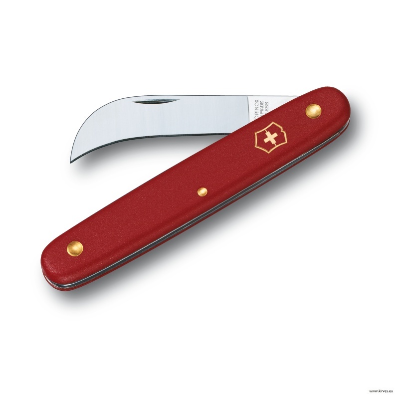 Victorinox Aianuga XS