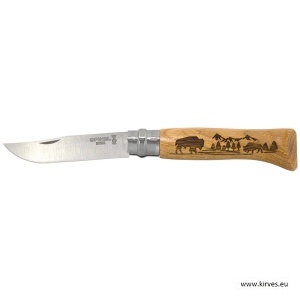 OP002629-American Bison.jpg