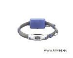  Pealamp Led Lenser NEO6R sinine