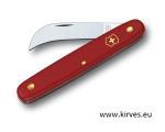 Victorinox Aianuga XS