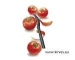 Victorinox'i universaalkoorija
