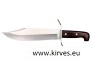 CS-WildWest Bowie.jpg