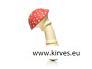 eng_pl_Antistress-mushroom-FLY-AGARIC-1615_1.jpg