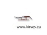 giant-ratchet-folding-knife-24-cm-blade-lenght-with-case-and-stand (1).jpg